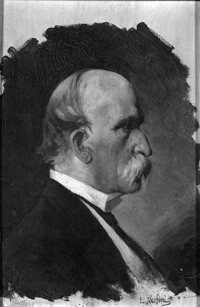 Ritratto d'uomo di profilo - Museo Civico, Pescia